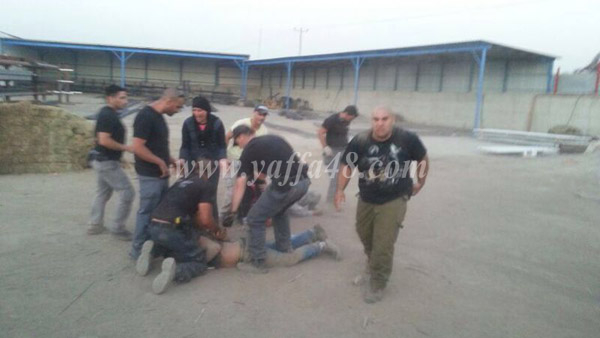  بالفيديو: الشرطة تداهم بيت عائلة أبو سلمي في اللد وتعتدي بالضرب على أفرادها